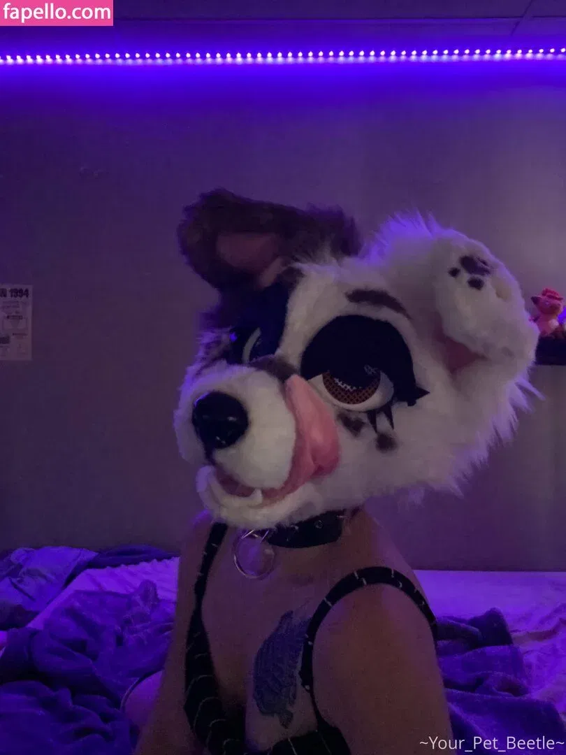 strwbrryinsides Onlyfans Photo Gallery 