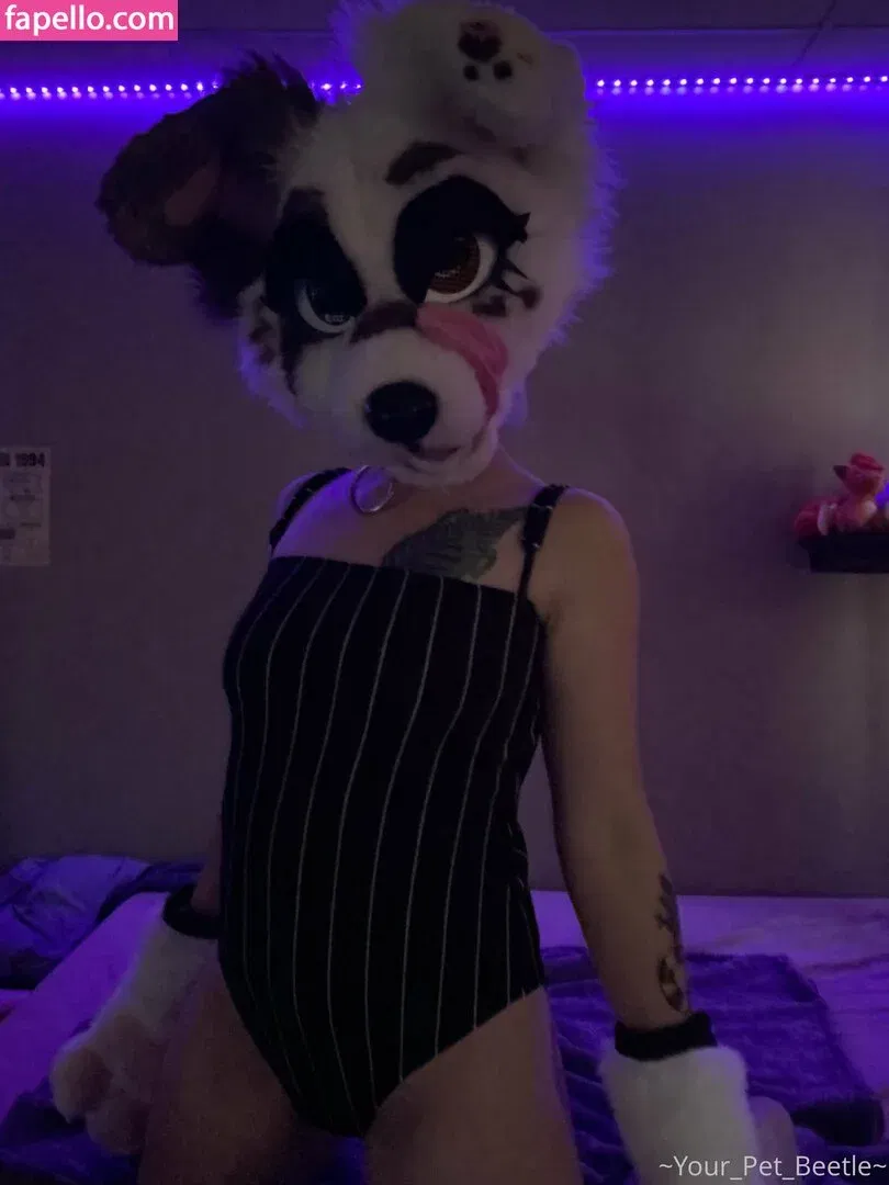 strwbrryinsides Onlyfans Photo Gallery 