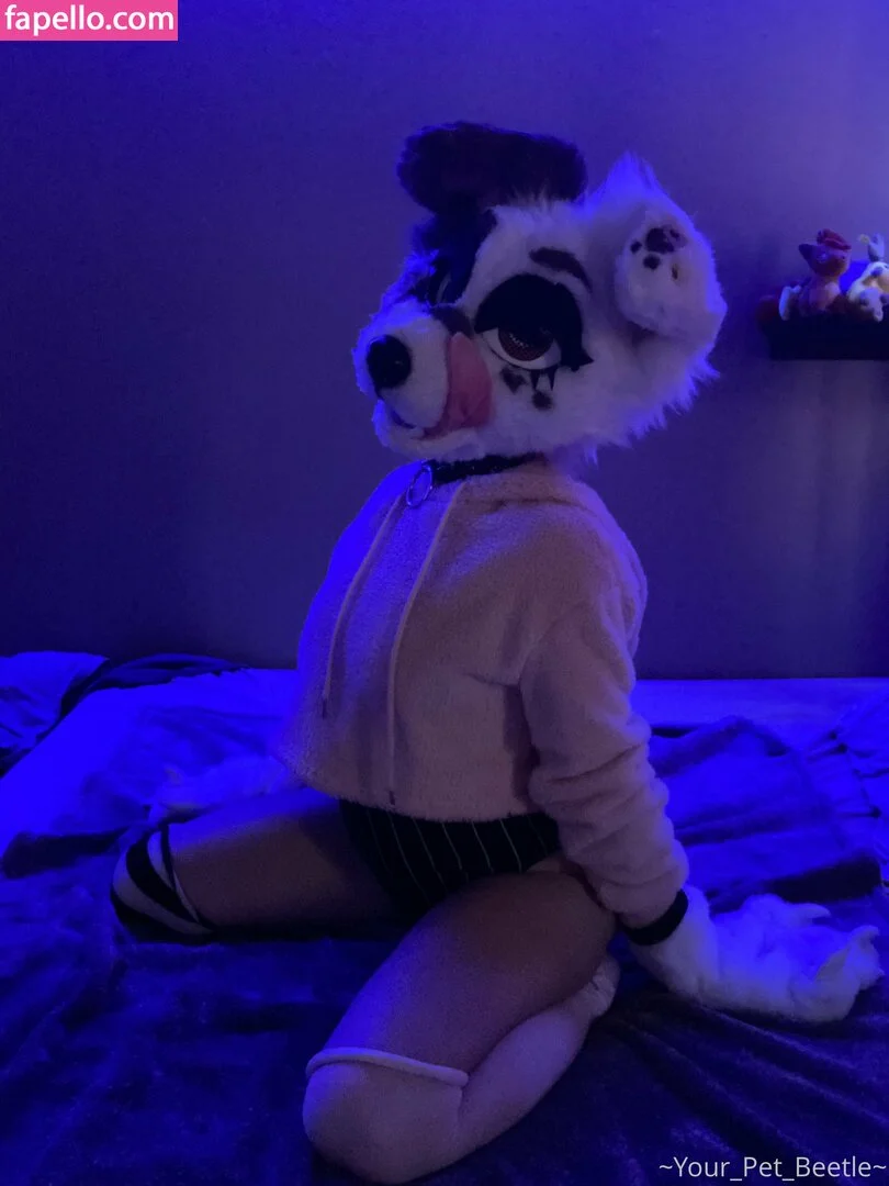 strwbrryinsides Onlyfans Photo Gallery 