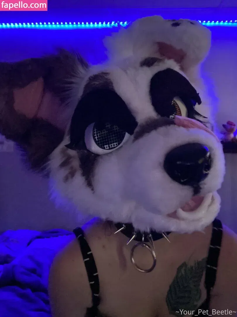 strwbrryinsides Onlyfans Photo Gallery 