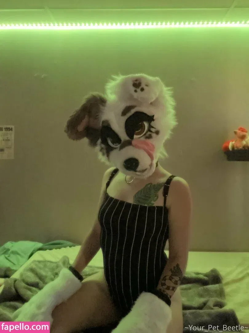 strwbrryinsides Onlyfans Photo Gallery 