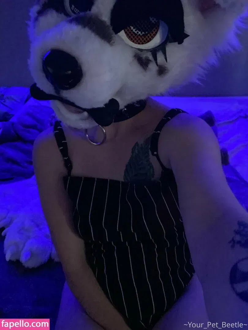 strwbrryinsides Onlyfans Photo Gallery 