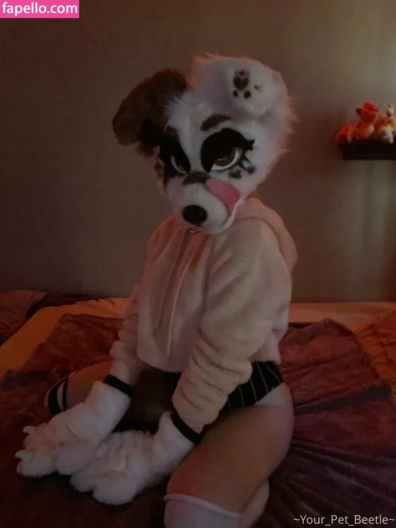 strwbrryinsides Onlyfans Photo Gallery 