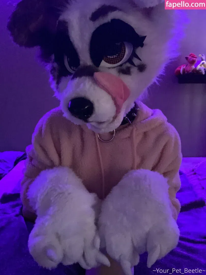 strwbrryinsides Onlyfans Photo Gallery 