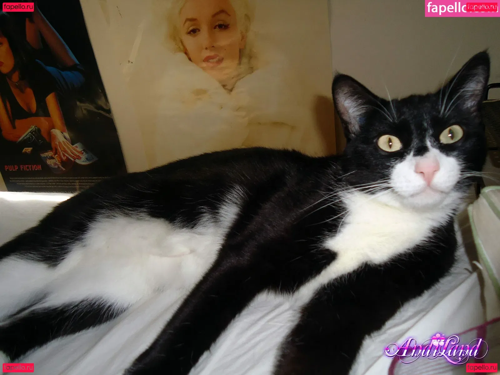 Andi Land Onlyfans Photo Gallery 