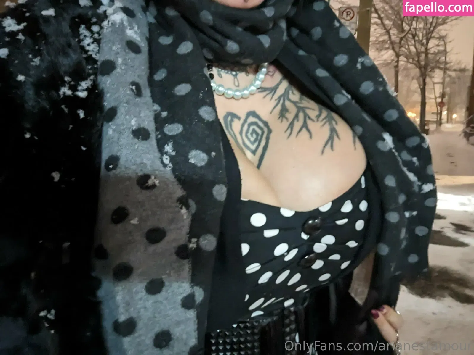 Ariane Saint Amour Onlyfans Photo Gallery 