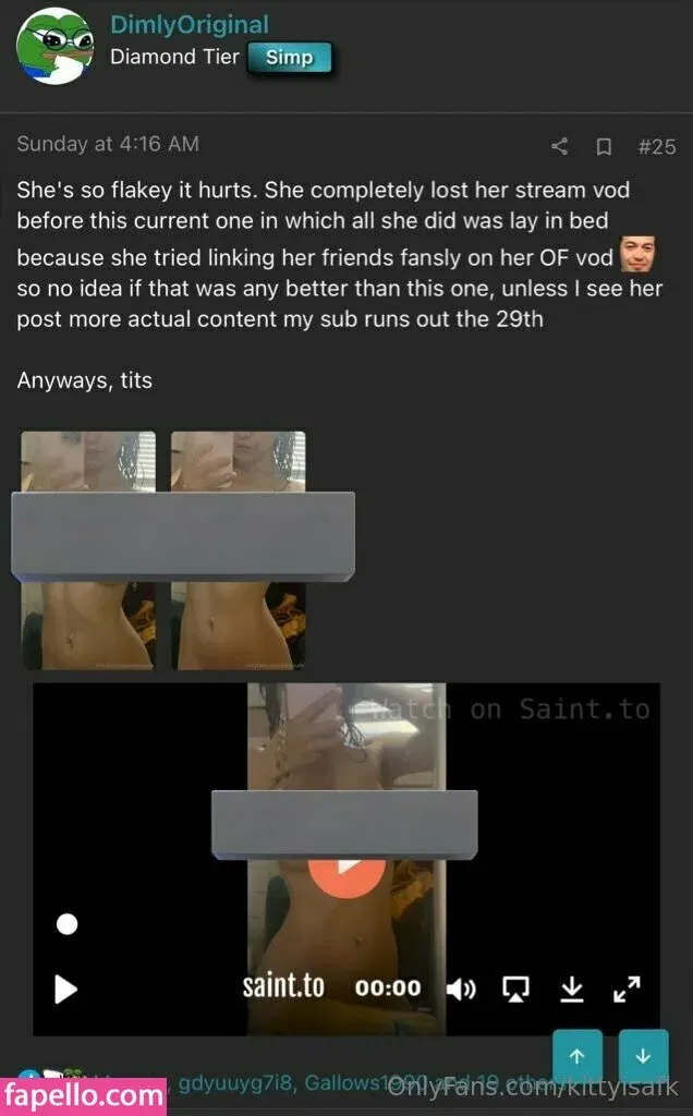 kittyisafk Onlyfans Photo Gallery 