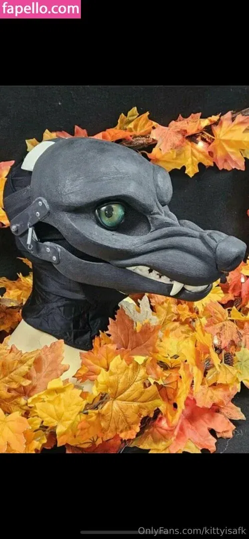 kittyisafk Onlyfans Photo Gallery 