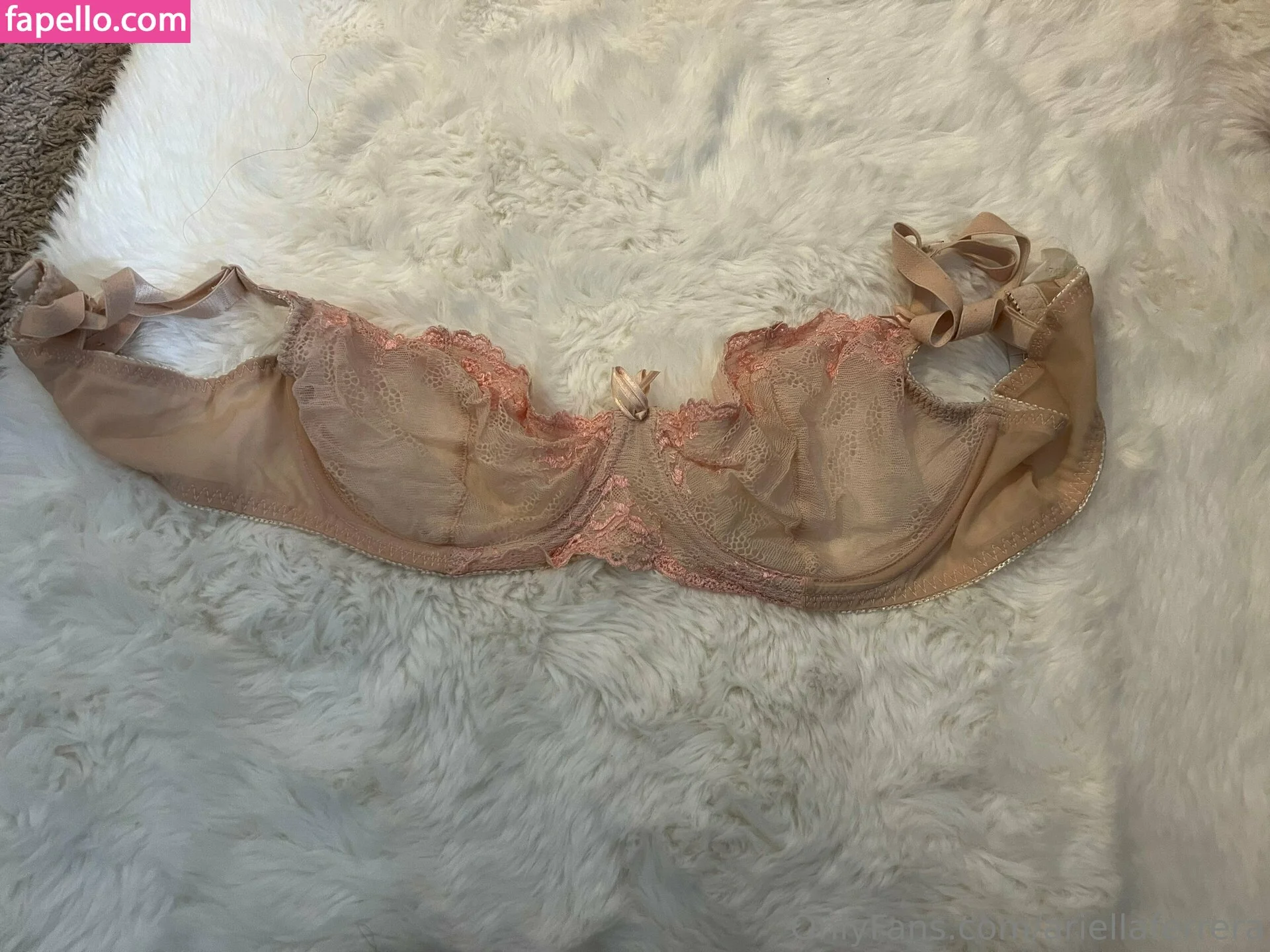 ariellaferrera Onlyfans Photo Gallery 