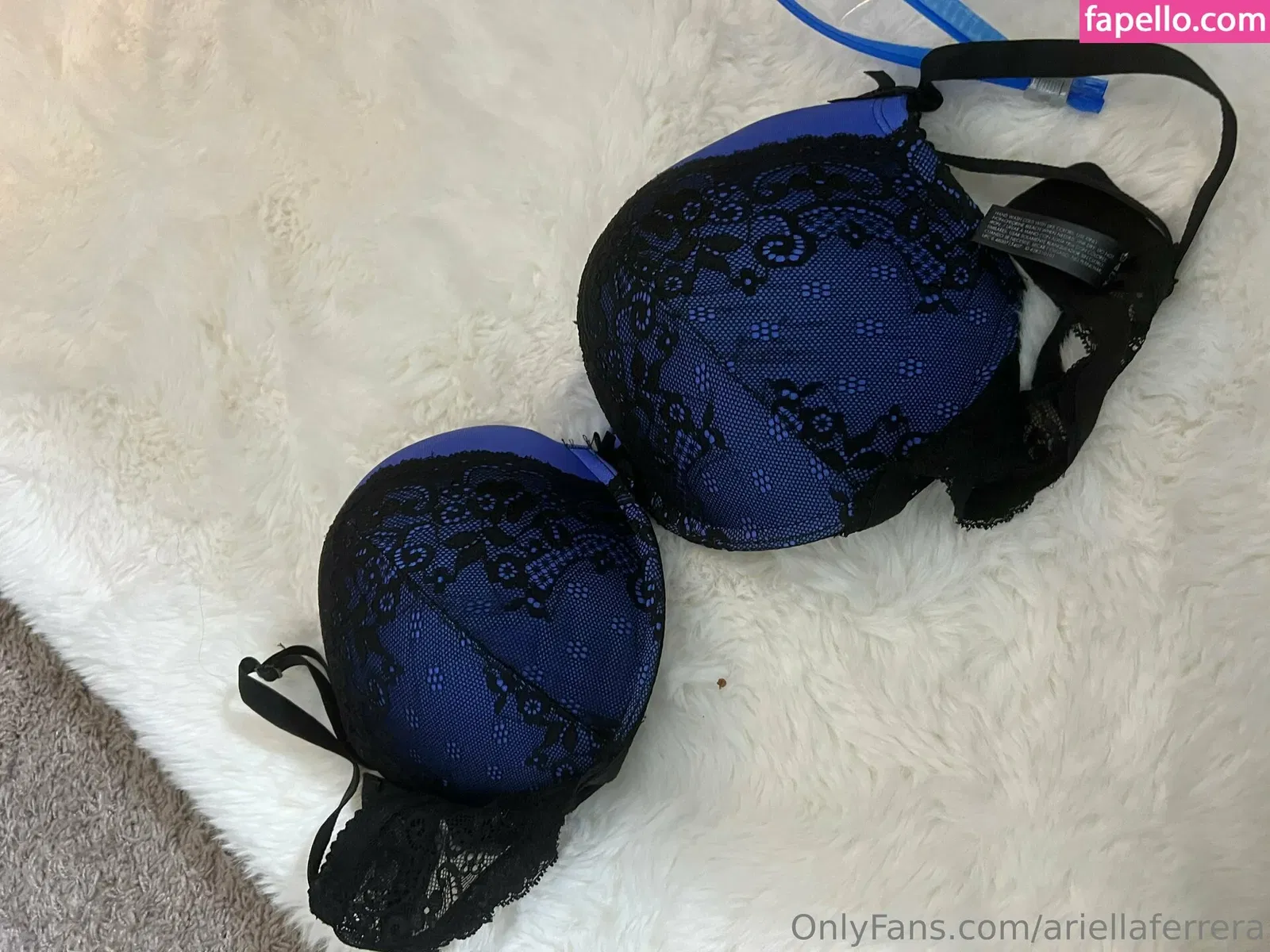 ariellaferrera Onlyfans Photo Gallery 