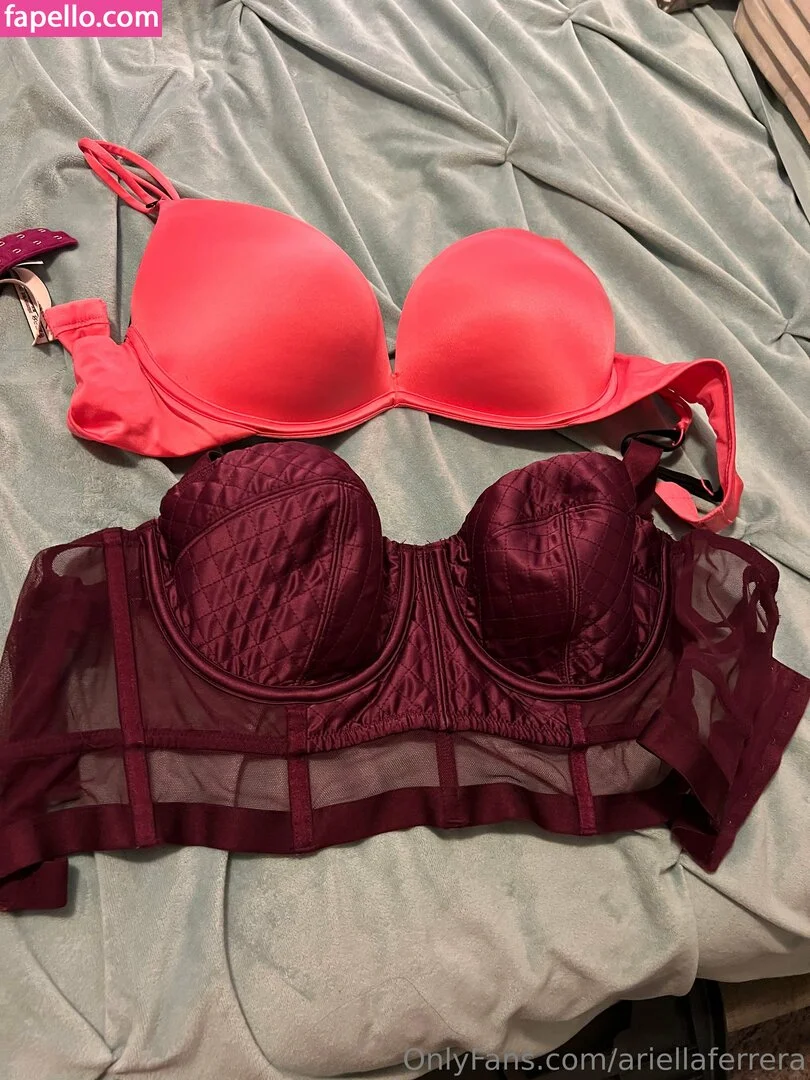 ariellaferrera Onlyfans Photo Gallery 