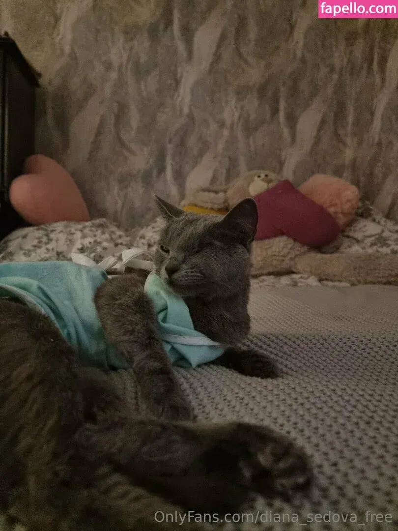diana_sedova_free Onlyfans Photo Gallery 