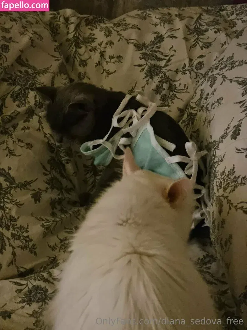 diana_sedova_free Onlyfans Photo Gallery 
