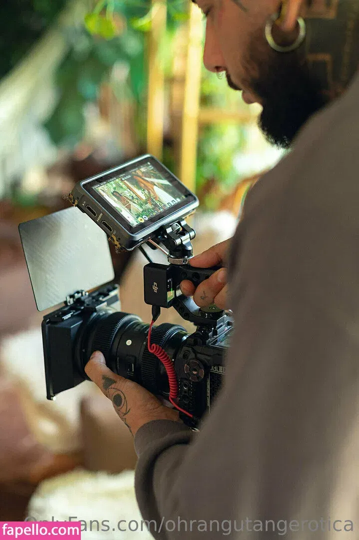 ohrangutangerotica Onlyfans Photo Gallery 
