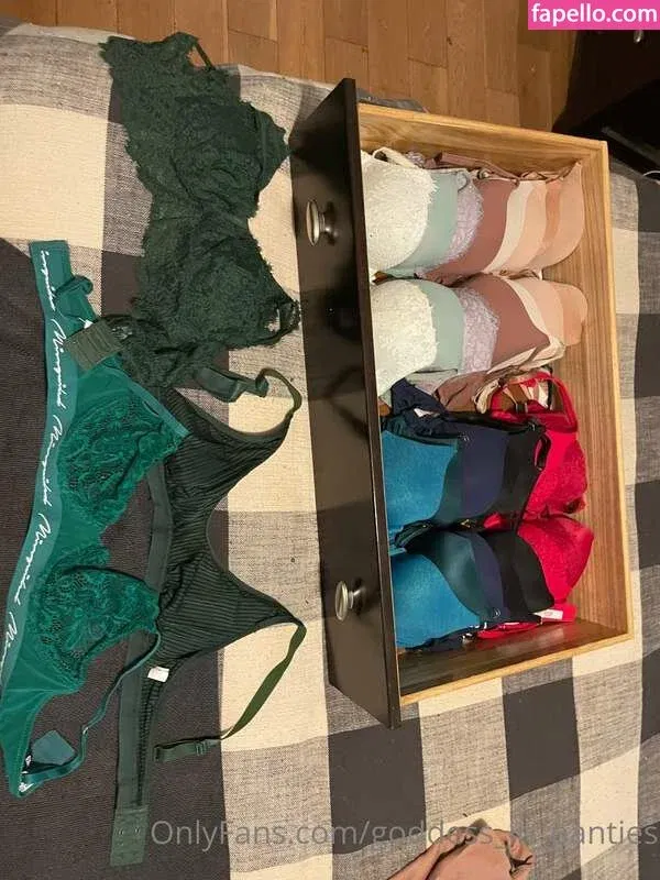 goddess_in_panties Onlyfans Photo Gallery 