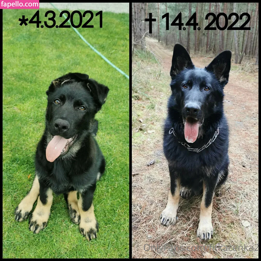 Fitkacenka2 Onlyfans Photo Gallery 