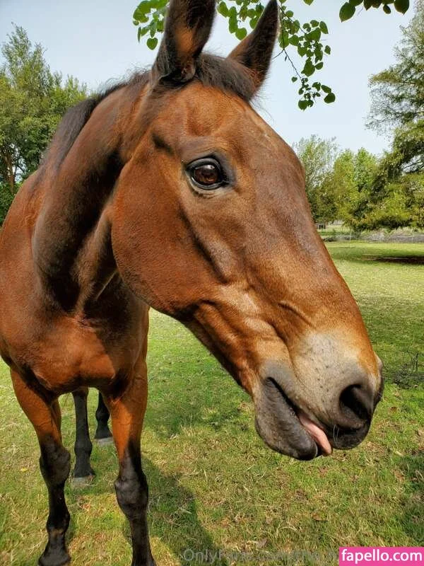 The Happy Jaunt Onlyfans Photo Gallery 