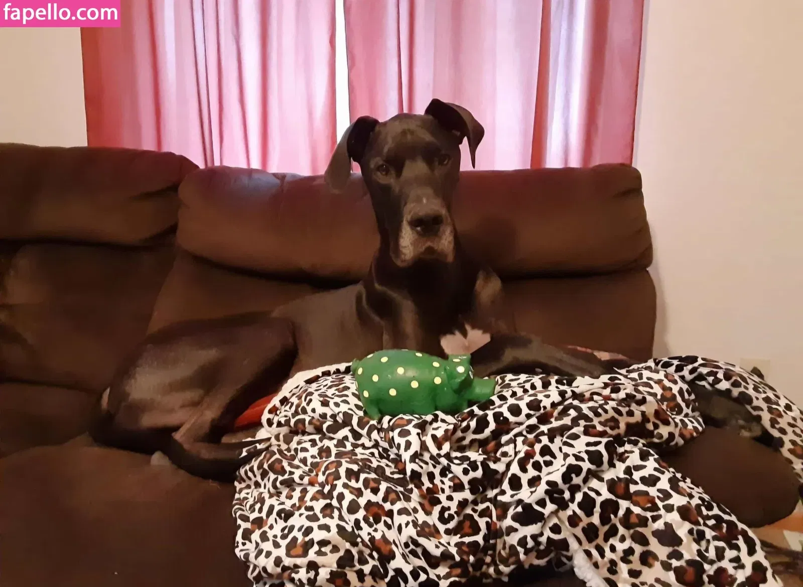 leannmonroe Onlyfans Photo Gallery 