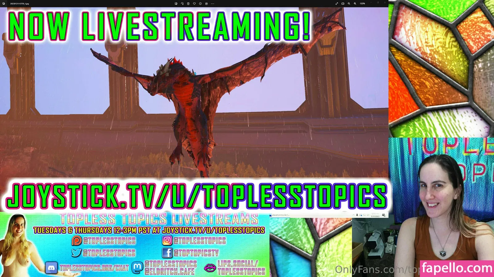 toplesstopicsfree Onlyfans Photo Gallery 