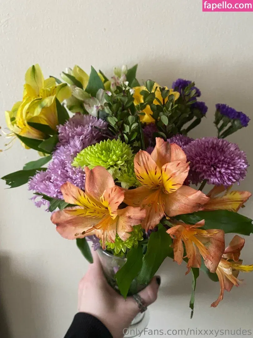 nixxxysnudes Onlyfans Photo Gallery 