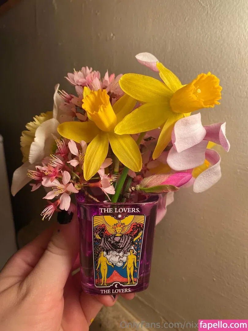 nixxxysnudes Onlyfans Photo Gallery 