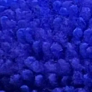 wifeyassandfeet Onlyfans Photo Gallery 