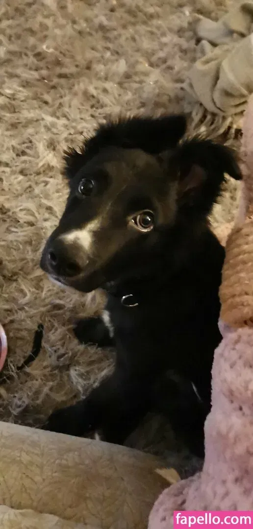 CaraWilder Onlyfans Photo Gallery 