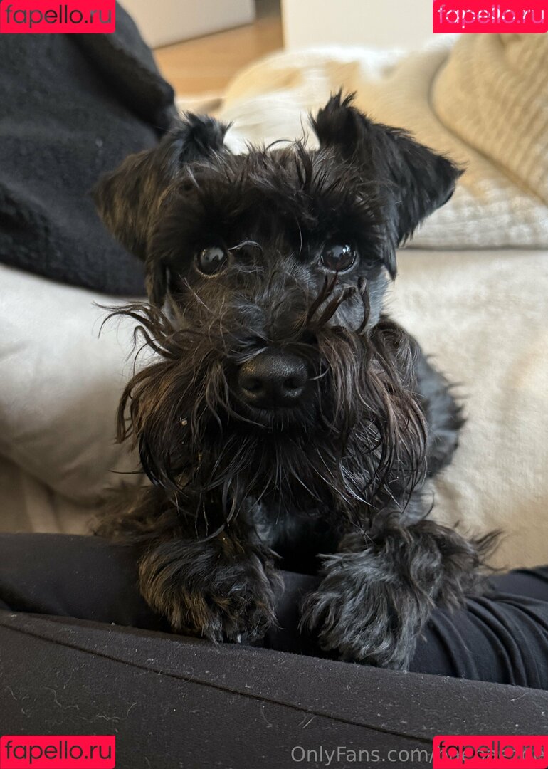 baebaezoe Onlyfans Photo Gallery 