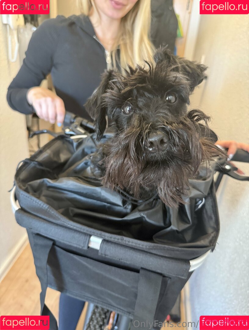 baebaezoe Onlyfans Photo Gallery 