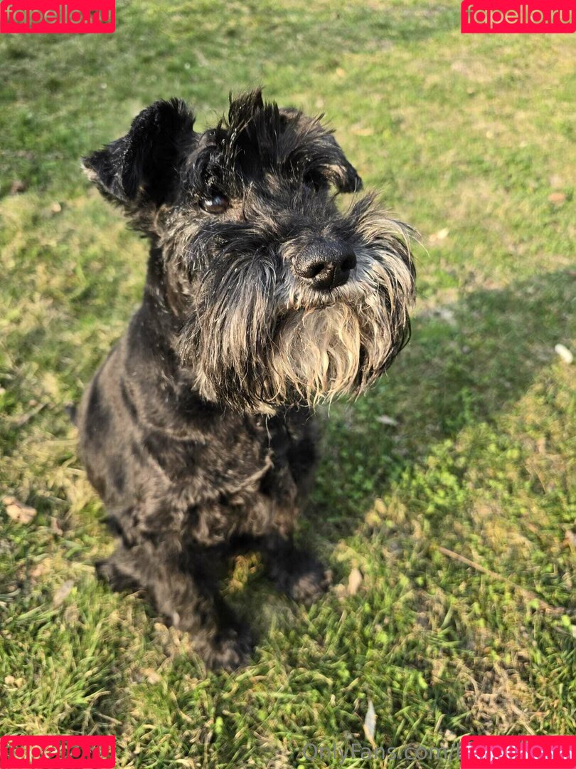 baebaezoe Onlyfans Photo Gallery 