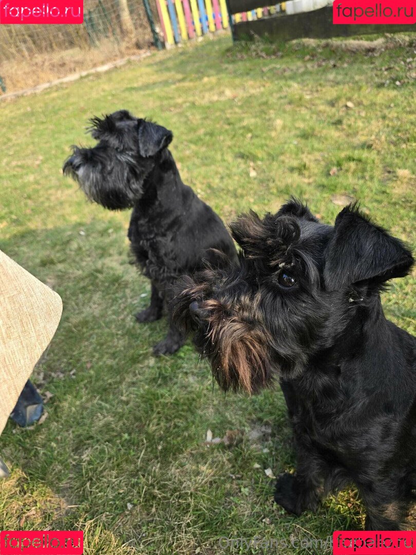 baebaezoe Onlyfans Photo Gallery 