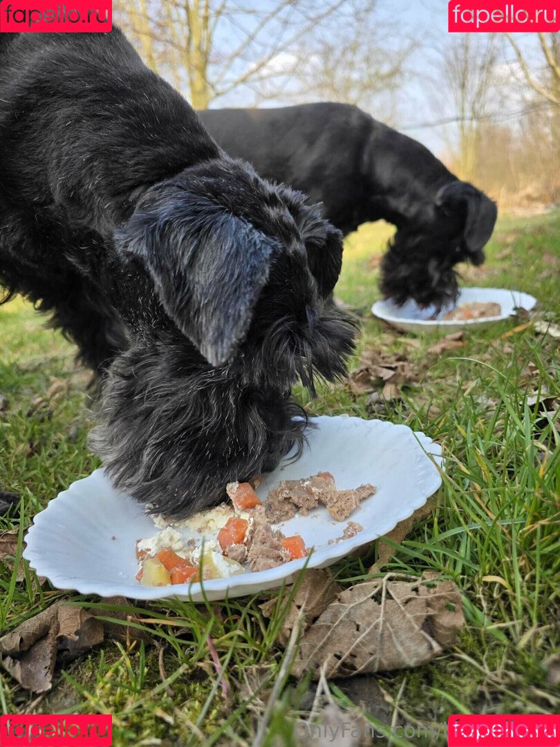 baebaezoe Onlyfans Photo Gallery 