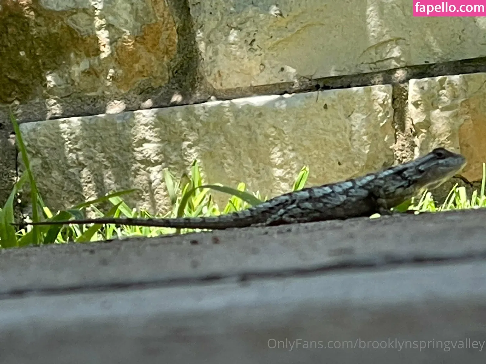 Brooklynspringvalley Onlyfans Photo Gallery 