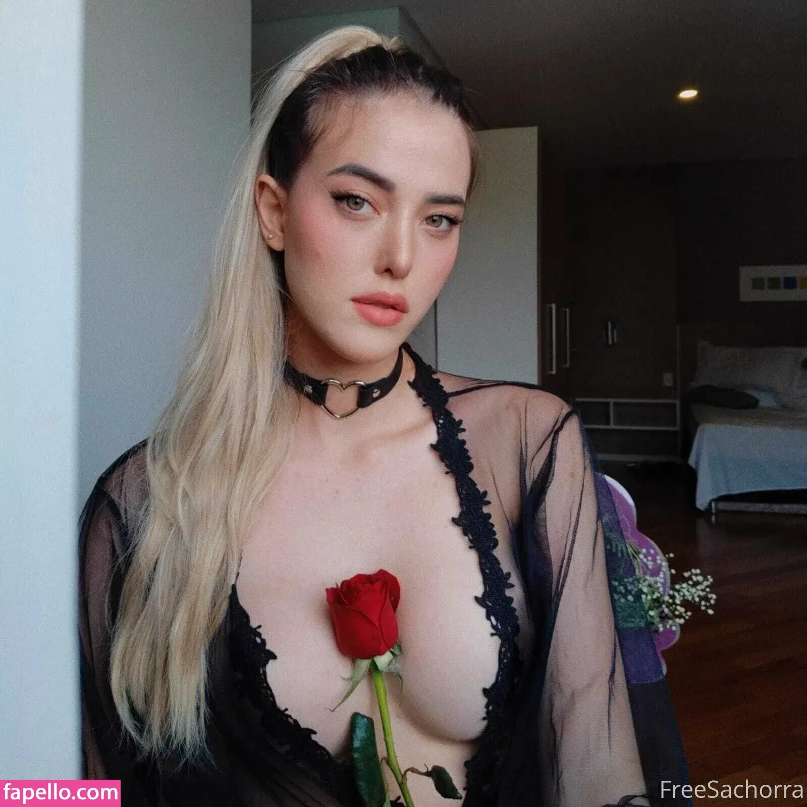 freesachorra Onlyfans Photo Gallery 