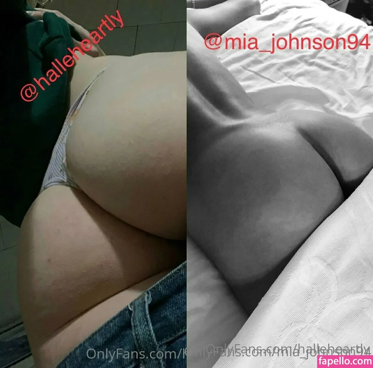 halleheartly Onlyfans Photo Gallery 