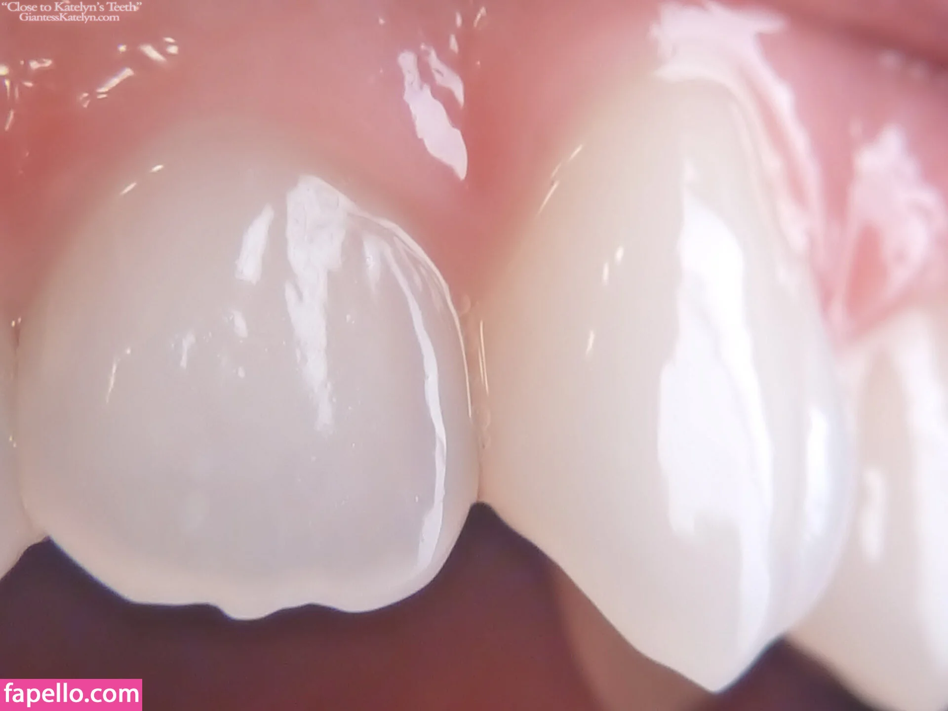 Katelyn Brooks Onlyfans Photo Gallery 