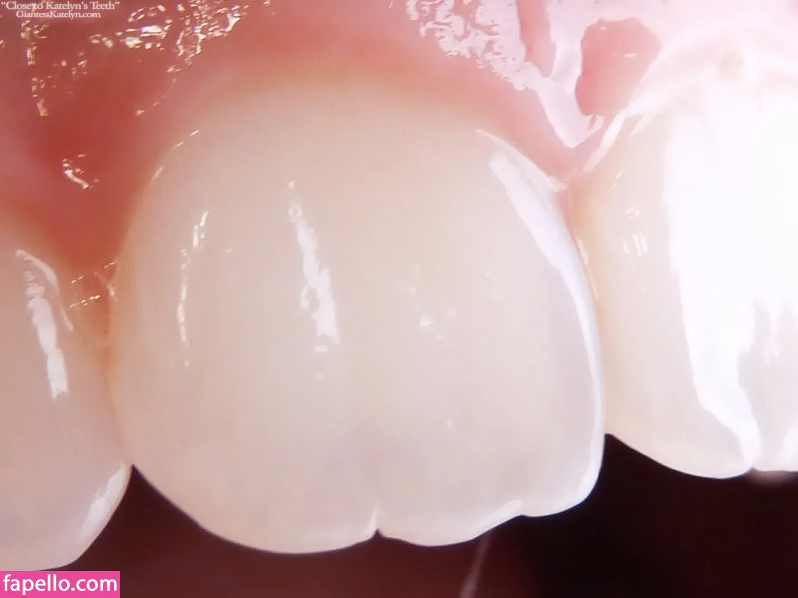 Katelyn Brooks Onlyfans Photo Gallery 