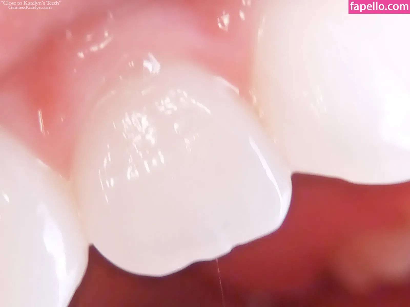 Katelyn Brooks Onlyfans Photo Gallery 