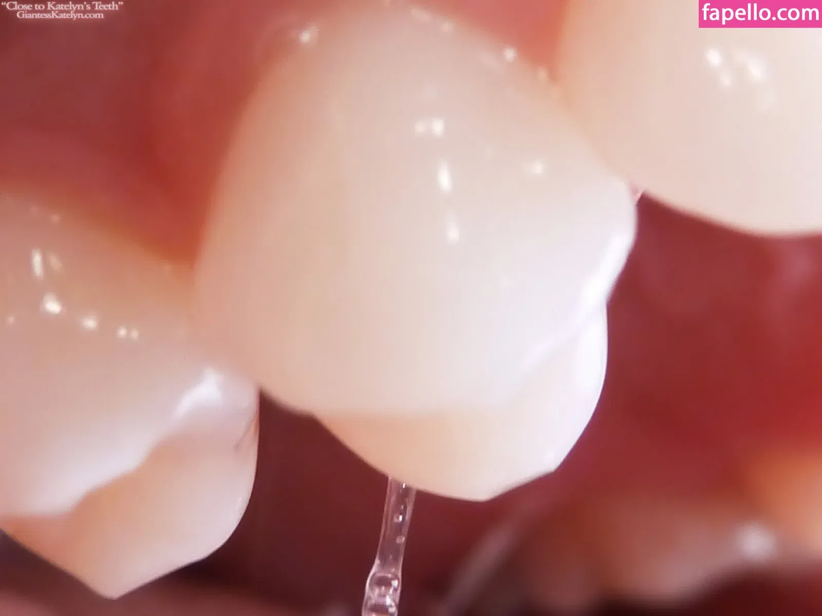 Katelyn Brooks Onlyfans Photo Gallery 