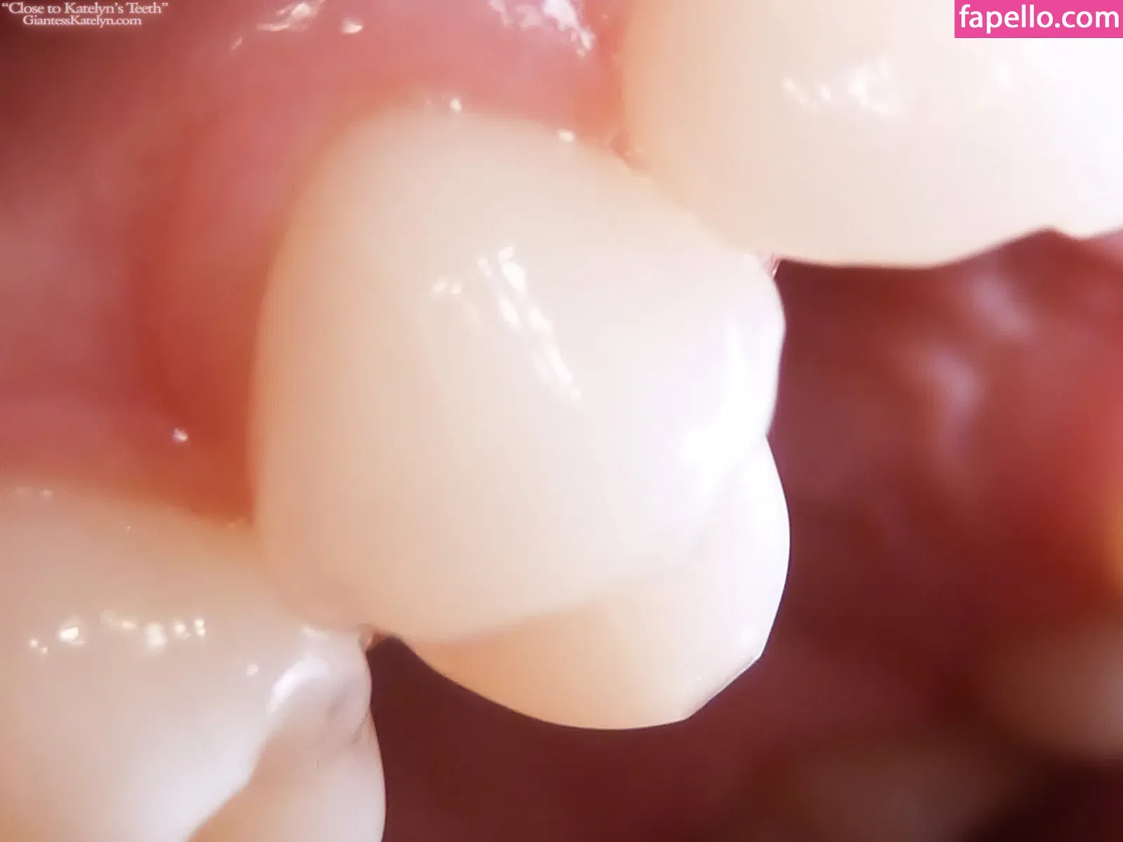 Katelyn Brooks Onlyfans Photo Gallery 