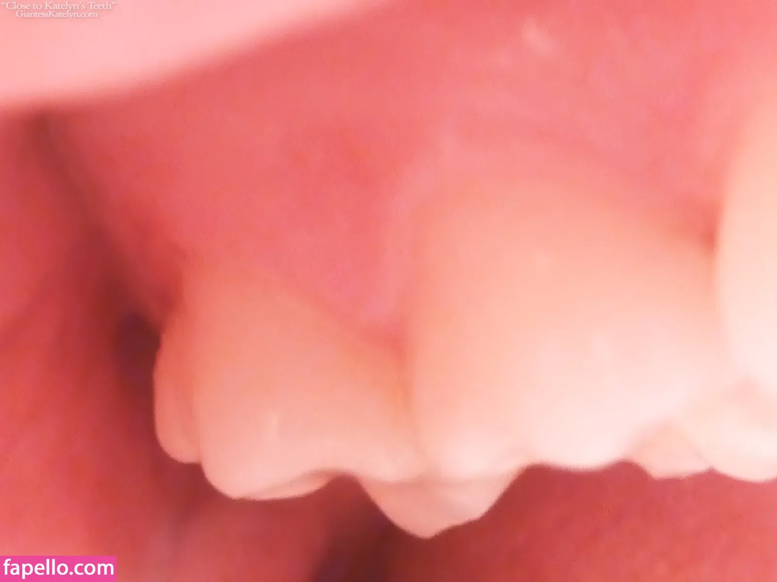 Katelyn Brooks Onlyfans Photo Gallery 