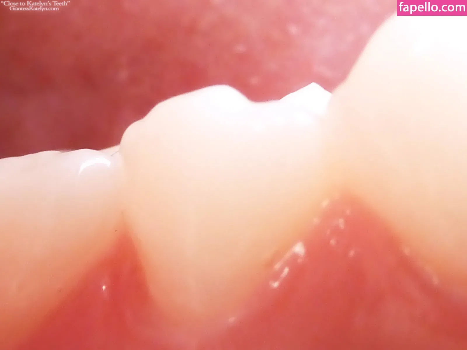 Katelyn Brooks Onlyfans Photo Gallery 