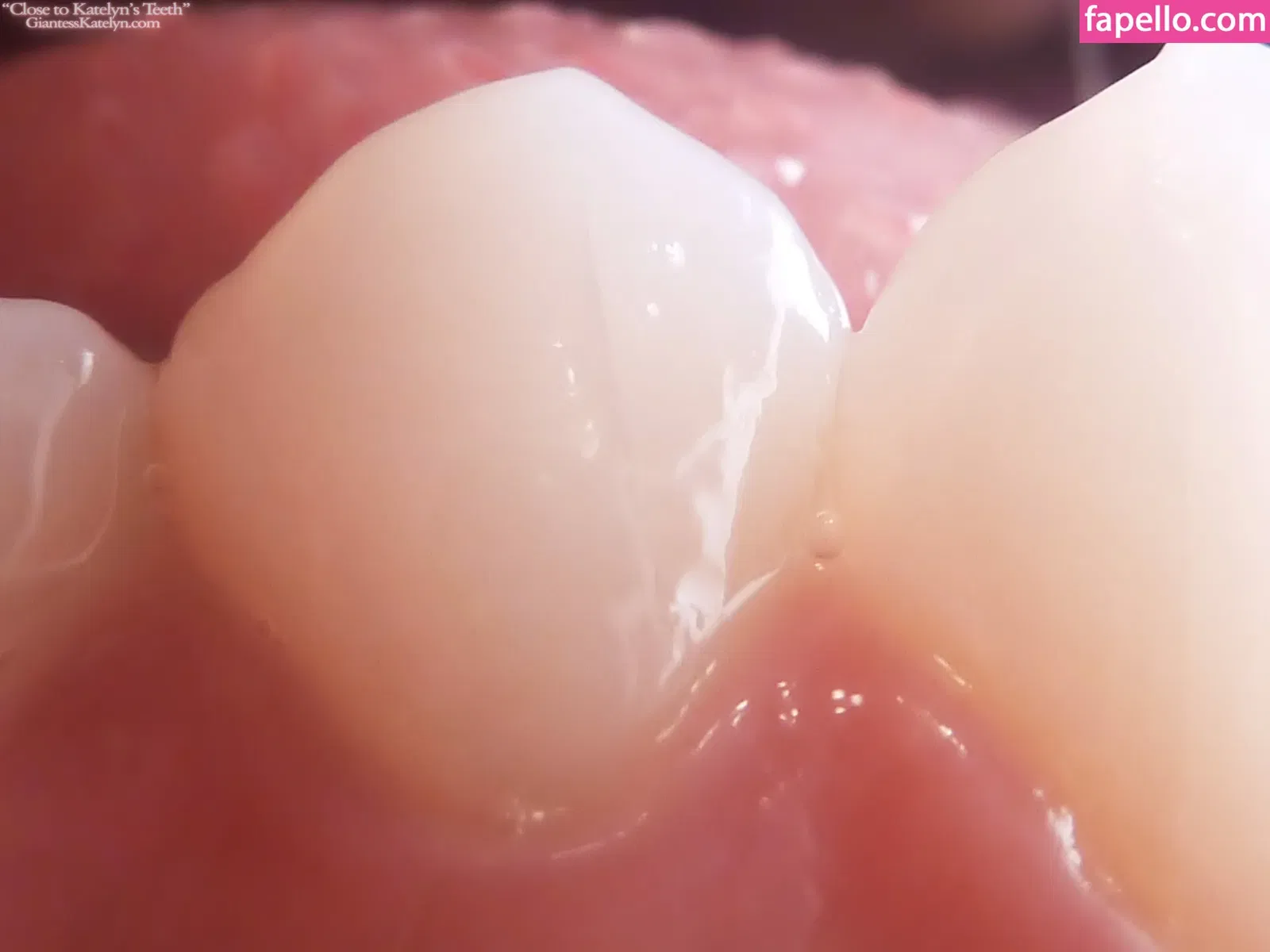 Katelyn Brooks Onlyfans Photo Gallery 