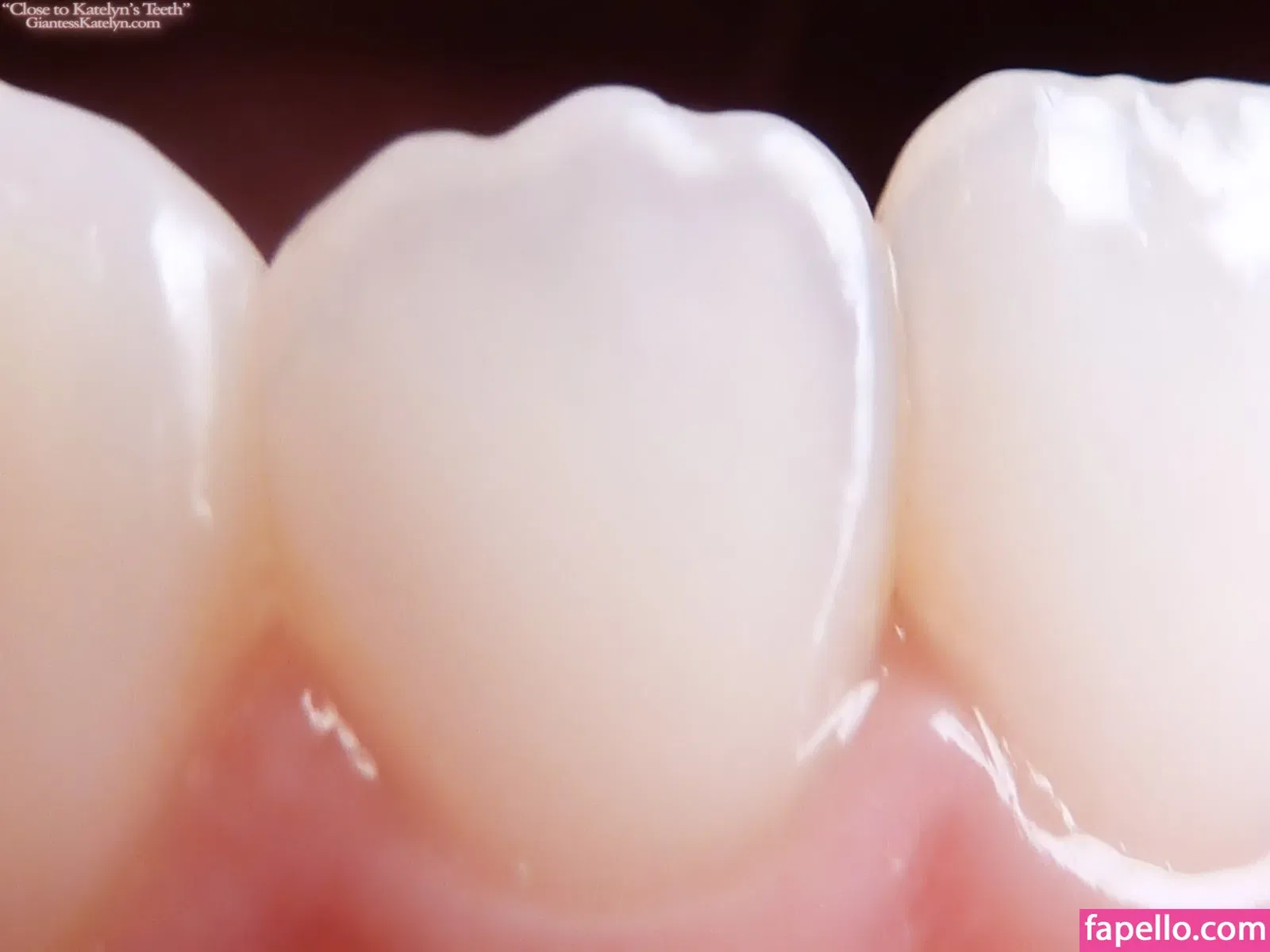 Katelyn Brooks Onlyfans Photo Gallery 