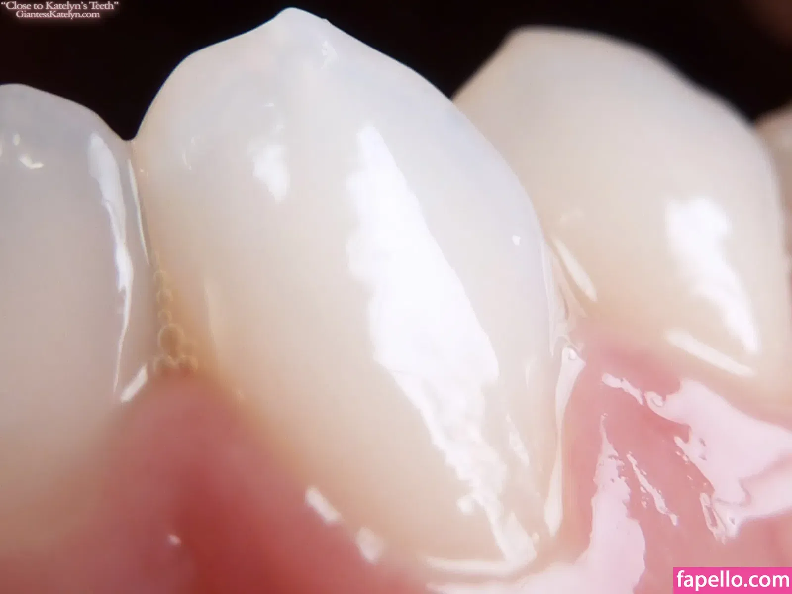 Katelyn Brooks Onlyfans Photo Gallery 