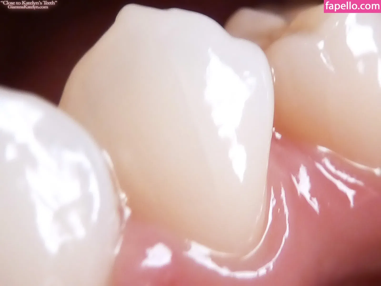 Katelyn Brooks Onlyfans Photo Gallery 