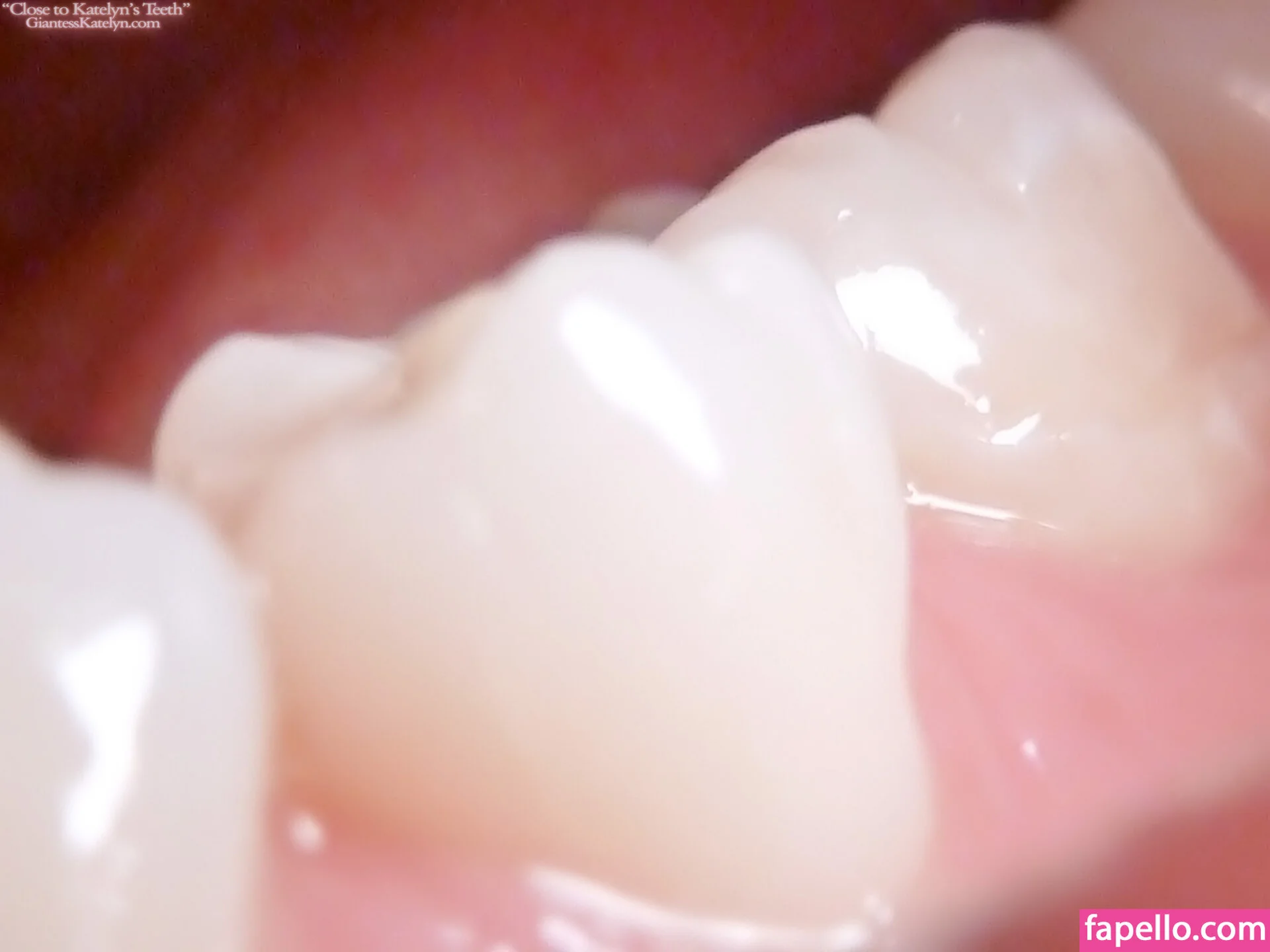 Katelyn Brooks Onlyfans Photo Gallery 