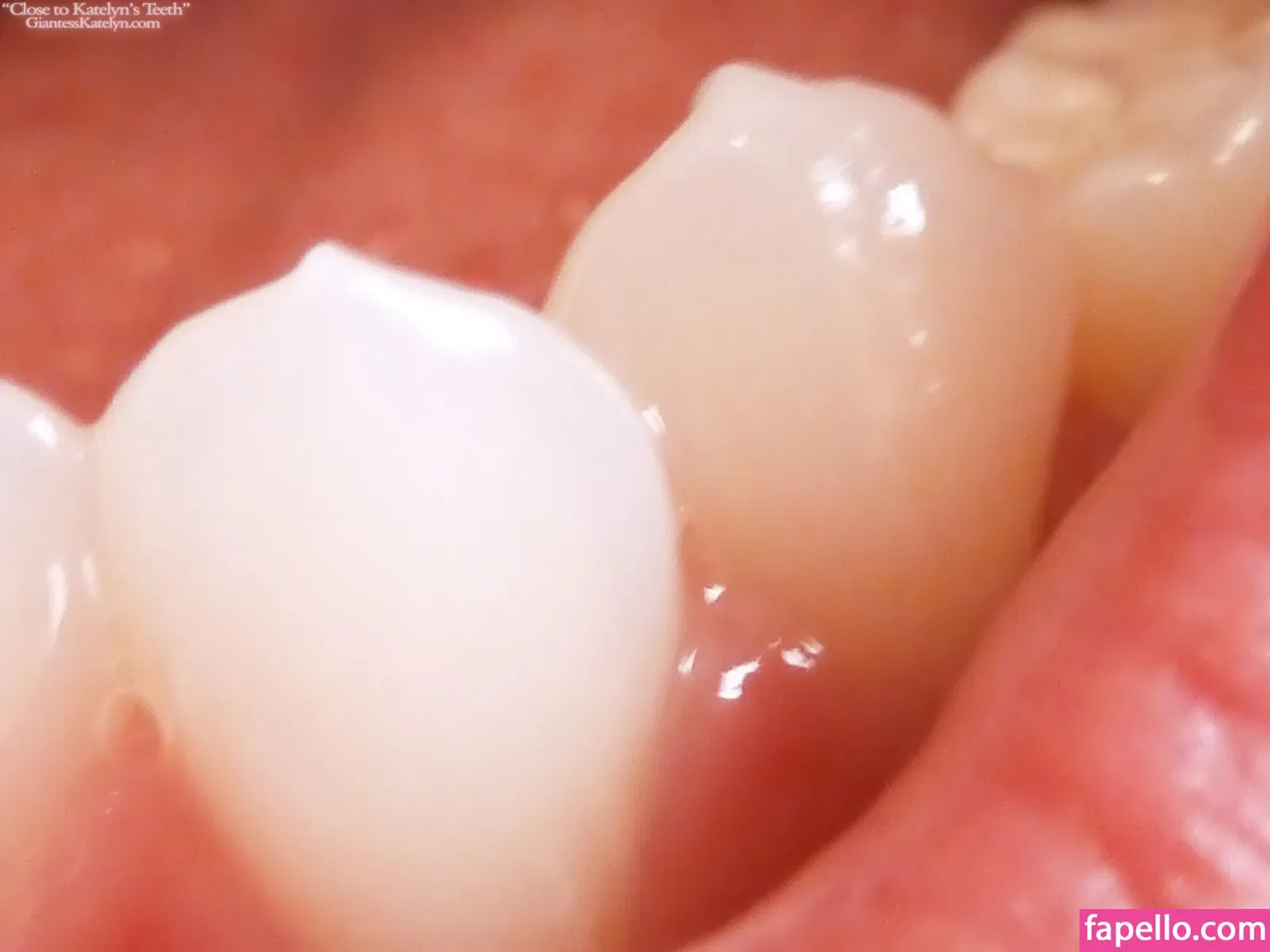 Katelyn Brooks Onlyfans Photo Gallery 