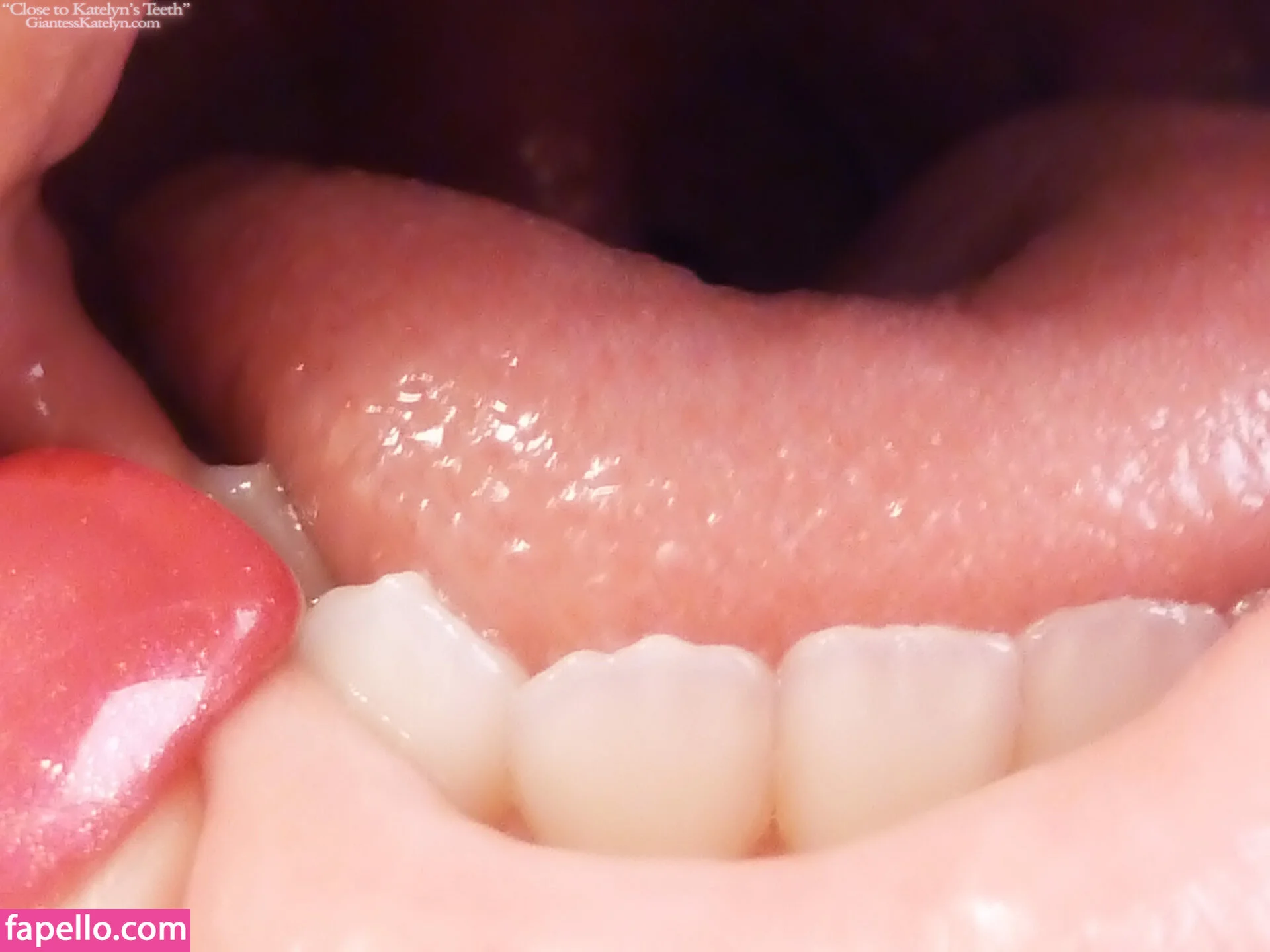 Katelyn Brooks Onlyfans Photo Gallery 