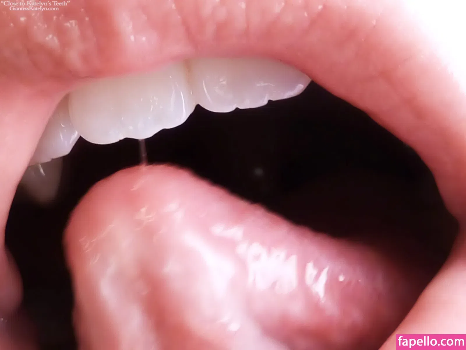 Katelyn Brooks Onlyfans Photo Gallery 